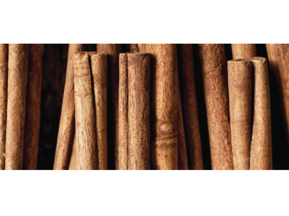 Ramas de Canela de Ceilán